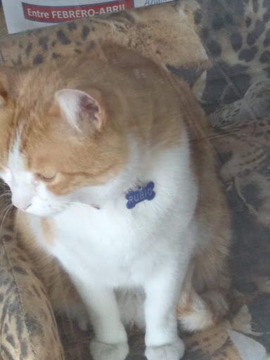 Veterinaria La Florida – Santa Perpètua de Mogoda