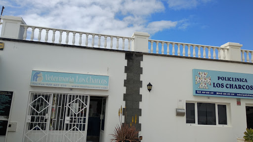 Veterinaria Los Charcos – Costa Teguise