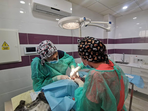 Veterinaria Porreres – Porreres