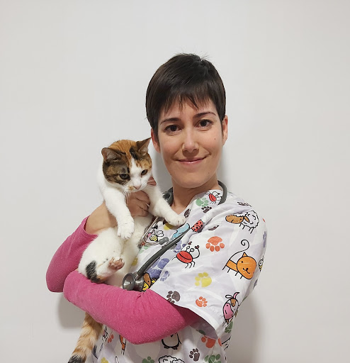 Veterinaria Sorolla – Sant Vicent del Raspeig