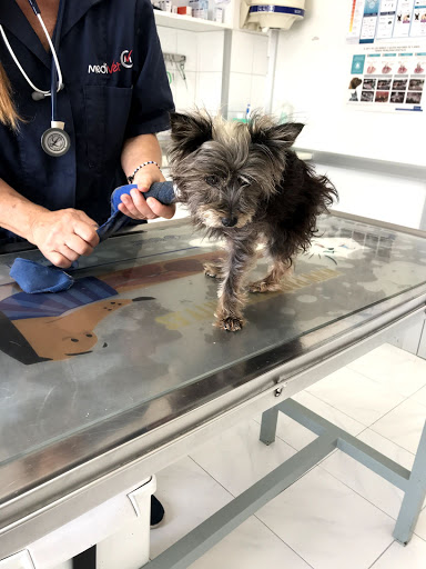 Veterinaria Tías – Tías/ Lanzarote