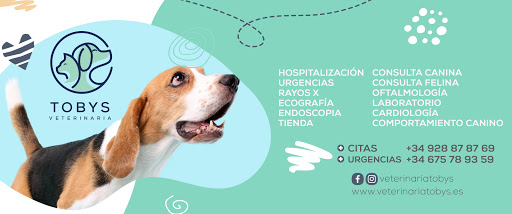 Veterinaria Tobys – Antigua