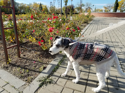 Veterinaria Vicalvaro – Madrid