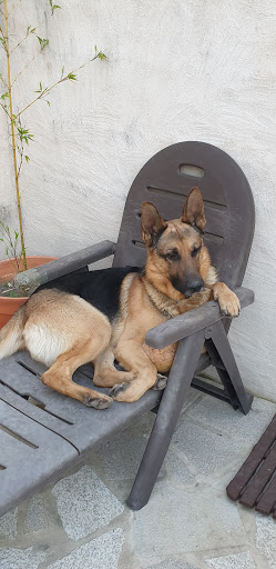 Veterinaria Zarpiñas – O Rosal