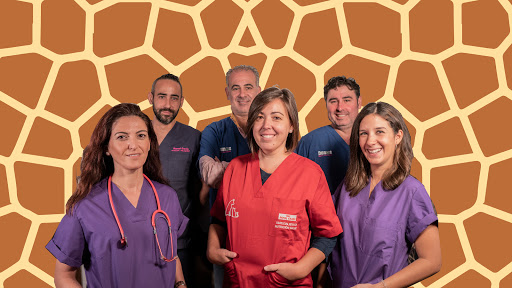 Veterinaria y Tienda Animals – La Palma del Condado