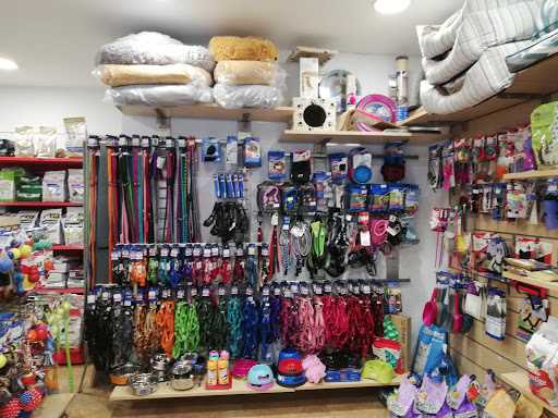 Veterinario A Domicilio Animalsalut – Barcelona