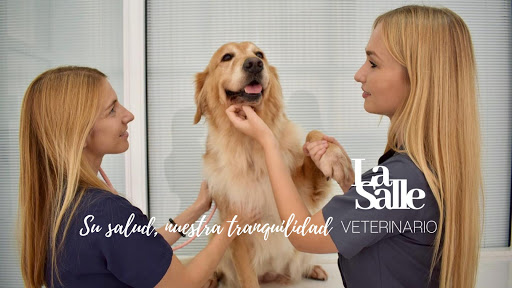 Veterinario La Salle – Santa Cruz de Tenerife
