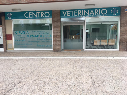 Veterinario Músicos – Tres Cantos