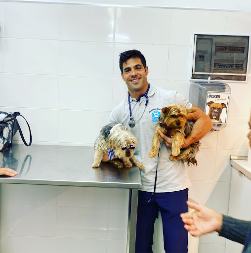 Veterinario Vet Sur Armeñime – Armeñime