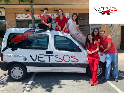 Veterinario Villanueva de La Cañada | Vetsos – Villanueva de la Cañada