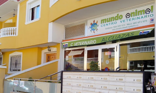 Veterinario de Alguazas. Mundo Animal Vega Media – Alguazas