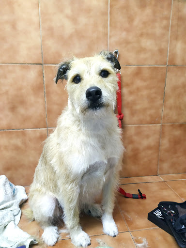 Veterinaris Vilanova S.l. – Vilanova i la Geltrú