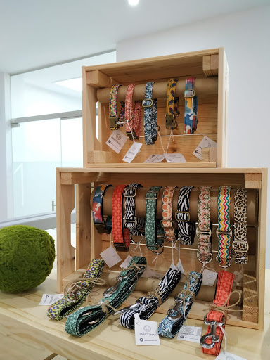 Veterinàritx Clínica Veterinaria – Felanitx