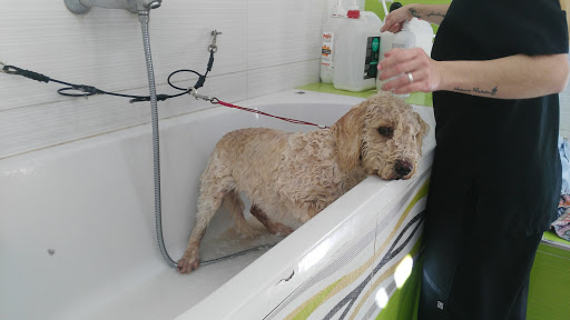 Veterinary Animal Care Center – Rincón de la Victoria