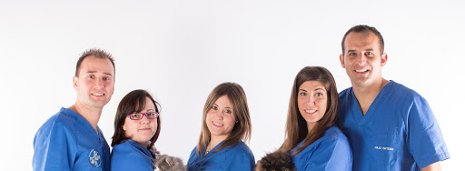 Veterinary Emergency Zaragoza – Zaragoza