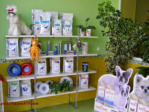 Veterinary Medical Center Pio 109 – Talavera de la Reina