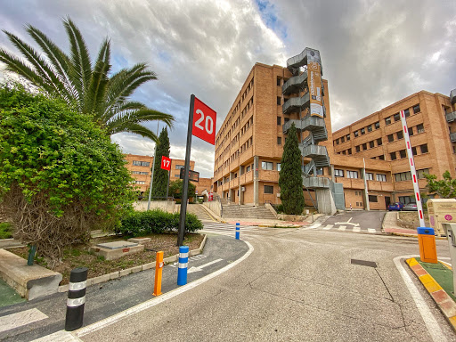 Veterinary School – Murcia