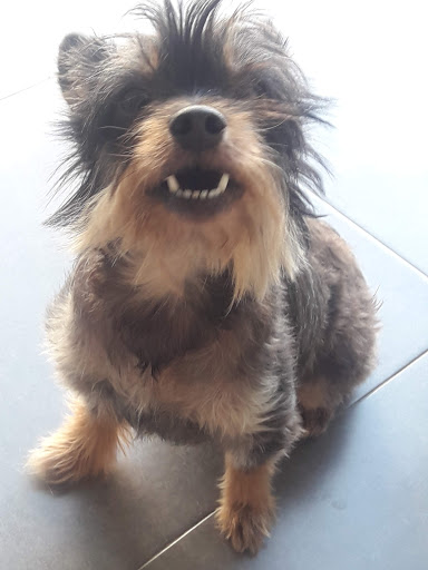 Veterivall – Càrcer