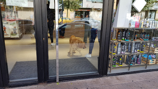 Veterplas – Plasencia