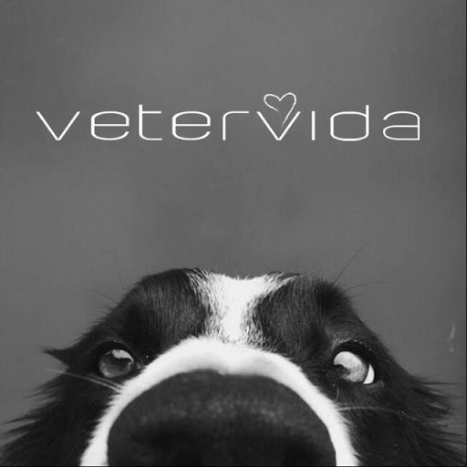 Vetervida – Alcoi