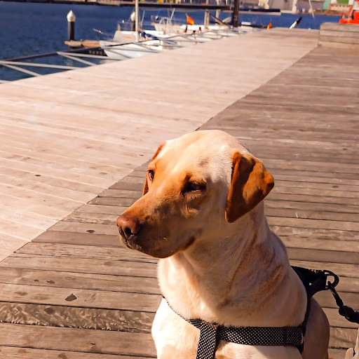 Veterzoo Cartagena – Cartagena