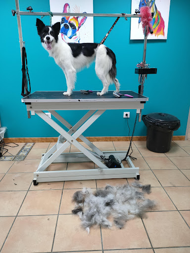 Vetesurex Centro Veterinario – Monesterio