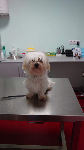 Vetmiñor Clínica Veterinaria – Baiona