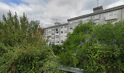 Vetmocoruña | Veterinario A Domicilio – O Seixal