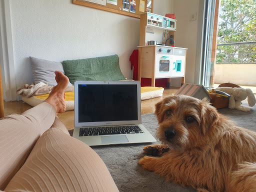 Vetonline – Veterinario Por Videollamada – Barcelona