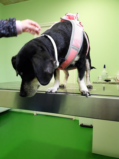 Vetxarxa Manlleu (Espai Veterinari) – Manlleu