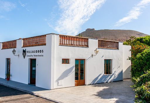 Villalobos Consulta Veterinaria – Teguise