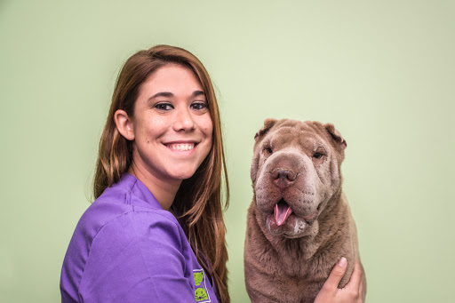 Vitalcan 24-horas Emergency Centro Veterinario – Sevilla