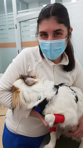 Wapití Centro Veterinario – Cangas