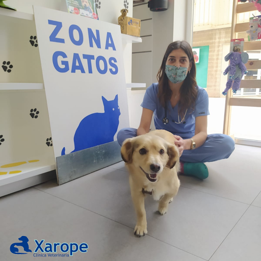 Xarope Clínica Veterinaria – A Laracha