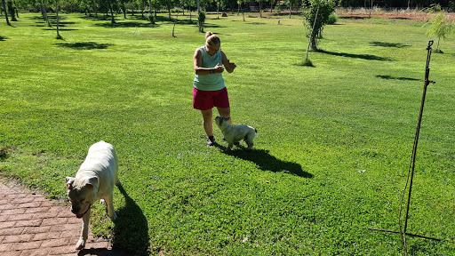 Zoo Clínica Veterinaria Center – Murcia