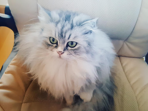 Zorrilla Centro Veterinario – Valladolid